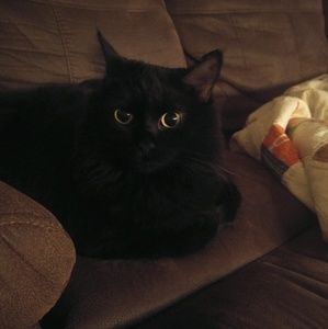 Meet your Posher, Tammy